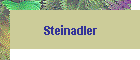 Steinadler